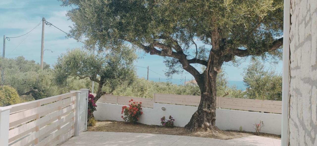 Villa Zante Avia Plános Zewnętrze zdjęcie